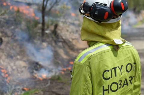 Bushfire Management Strategy