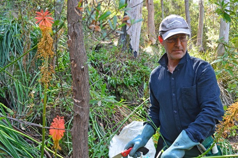 Tackling environmental weeds