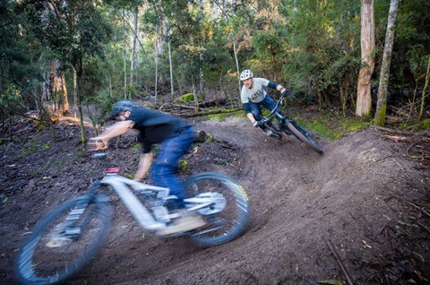 Mountain bikers