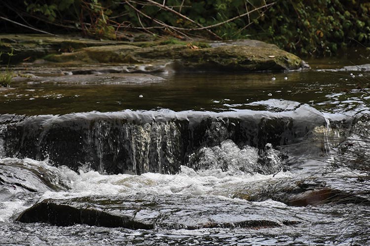 Hobart Rivulet