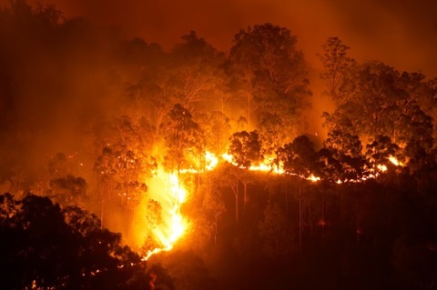 Bushfires