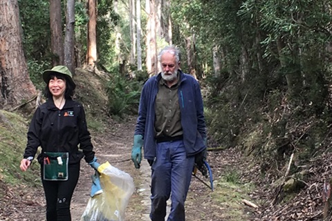 Fern Tree Bushcare