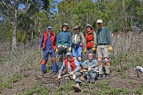 Friends of Knocklofty Bushcare