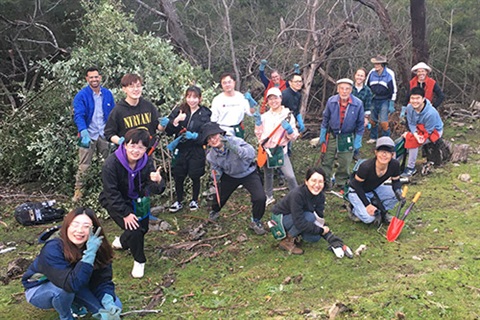 Friends of McAulay Reserve Bushcare