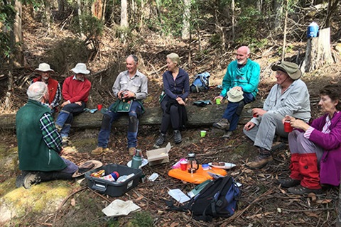 Friends of Wellington Park Bushcare