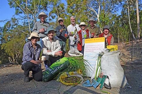 Lambert Gully Bushcare