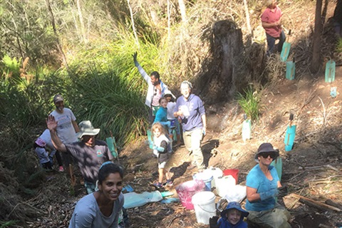 Ridgeway Bushcare