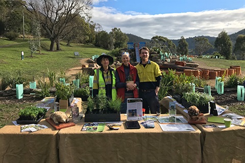 South Hobart Bushcare