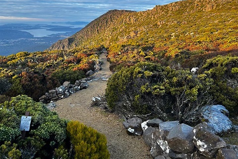 Tracks and trails