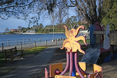 Playground octopus