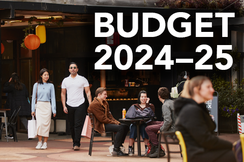 Budget 2024-25