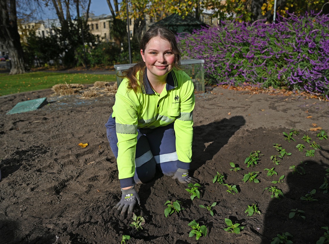 Budget-Planting.jpg