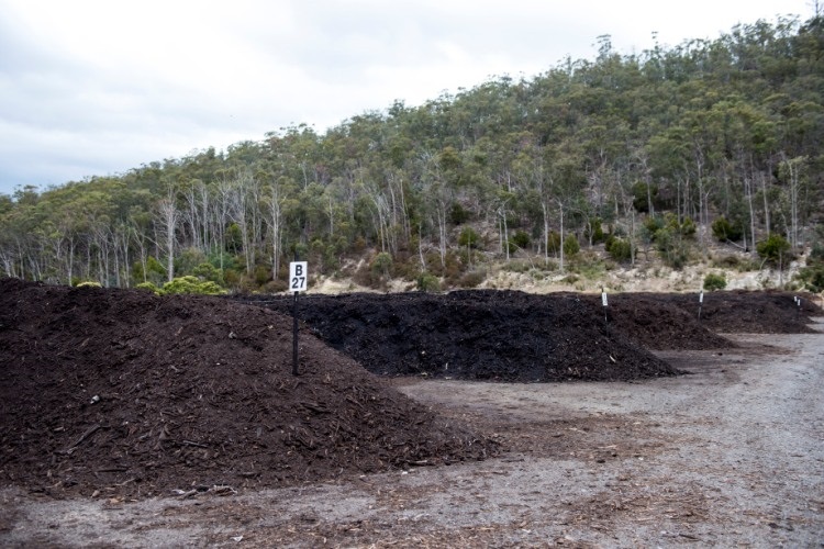 Compost and mulch pile 